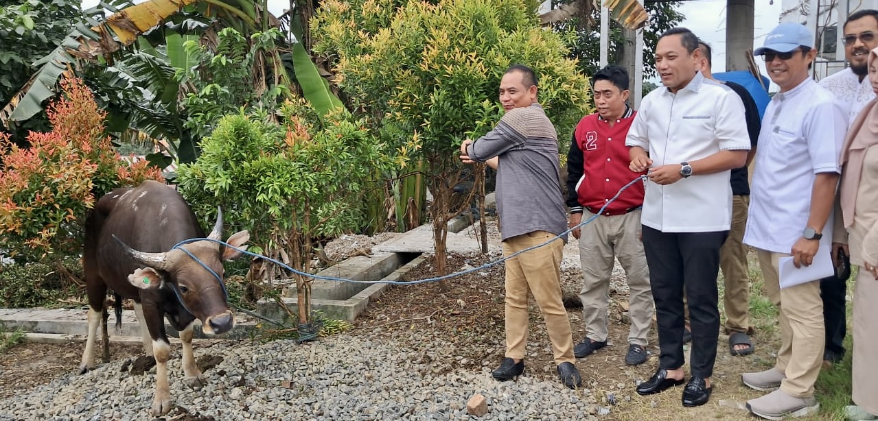 Gerindra Bawa Semangat Kurban hingga ke Rumah Warga